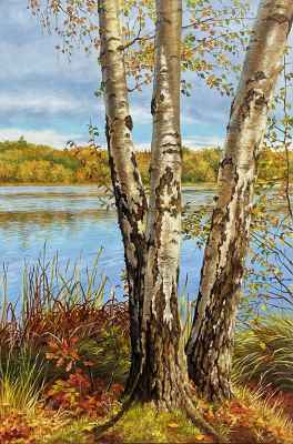 Joyful Birch Trees by Virginia Water Lake, 2022